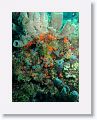 02-UnionIsland - 27